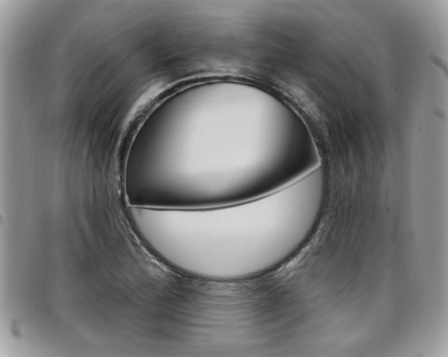 X0000097971172200803241013