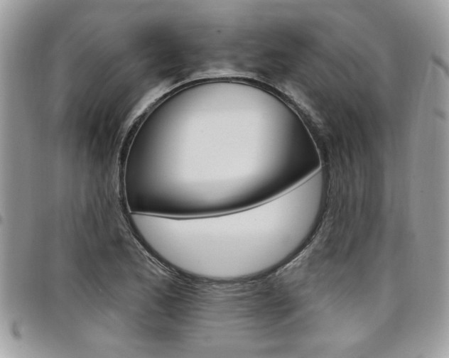 X0000097971173200803241013
