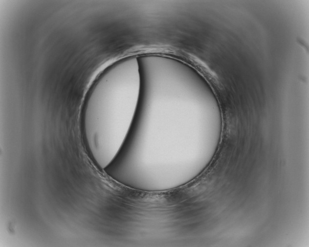 X0000097971174200803241013