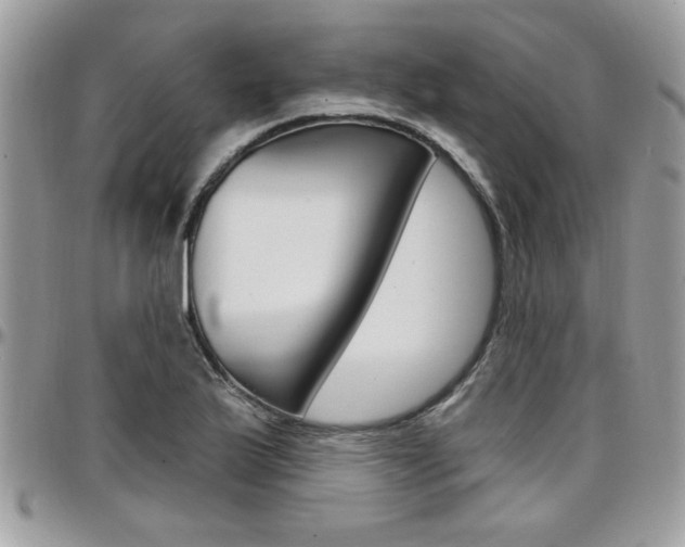 X0000097971175200803241013