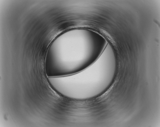 X0000097971177200803241013