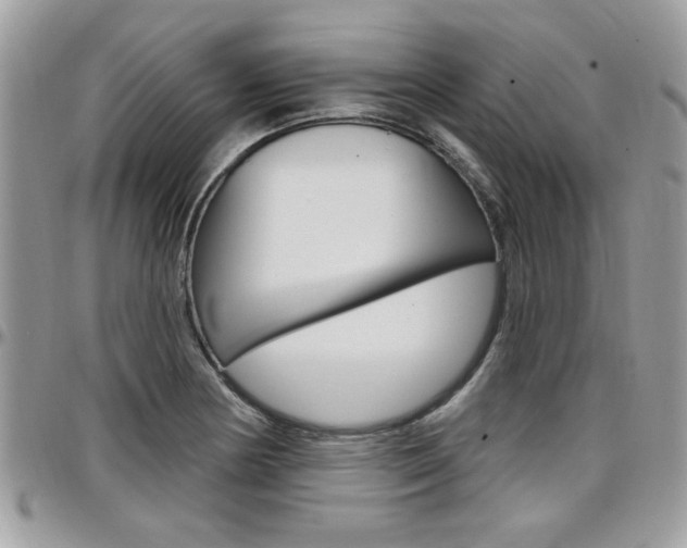 X0000097971178200803241013