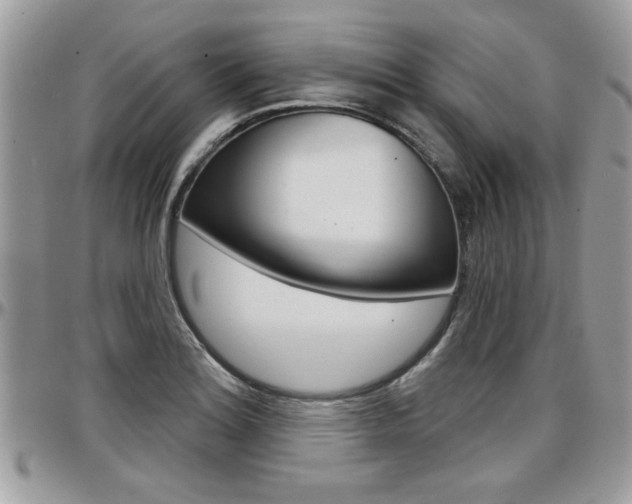 X0000097971180200803241013