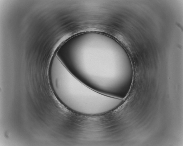 X0000097971181200803241013