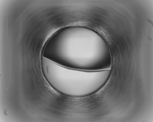 X0000097971184200803241013