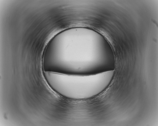X0000097971187200803241013