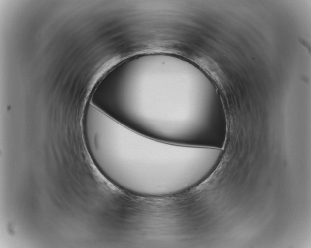 X0000097971189200803241013