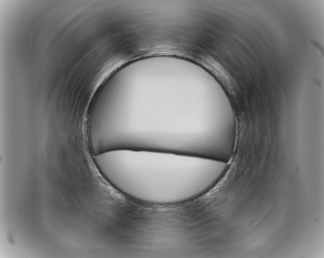 X0000097971190200803241013