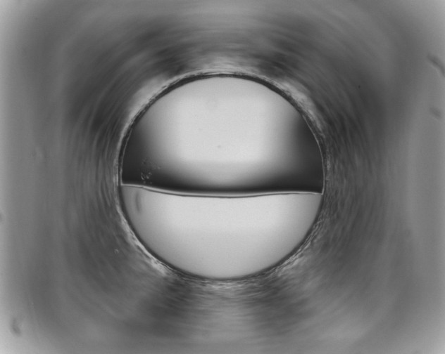 X0000097971191200803241013