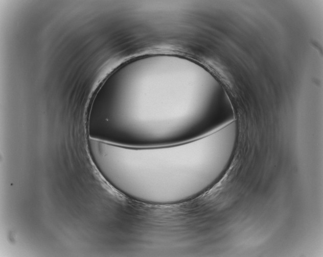 X0000097971192200803241013