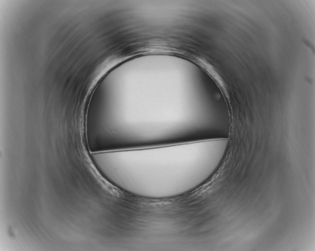 X0000097971195200803241013