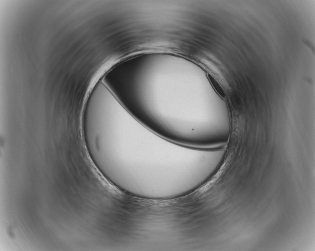 X0000097971196200803241013