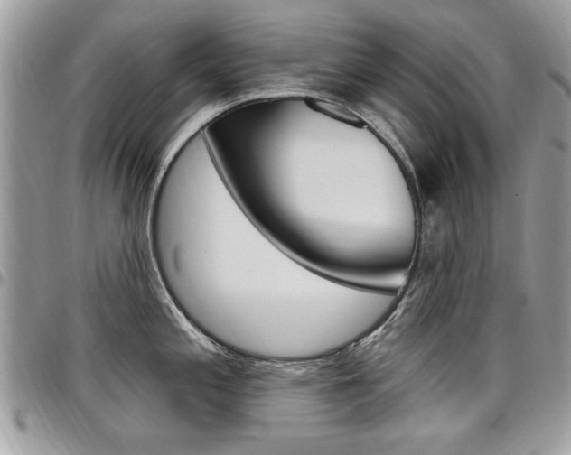 X0000097971197200803241012