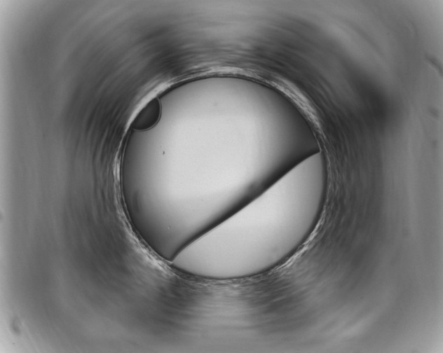 X0000097971198200803241012