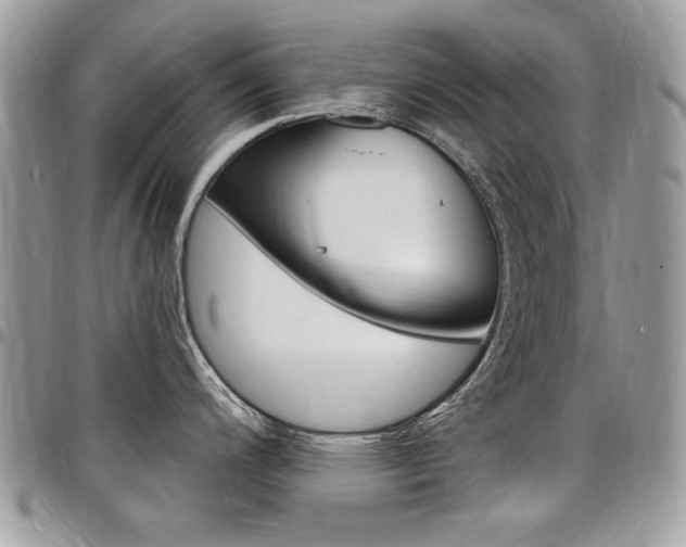 X0000097971200200803241012