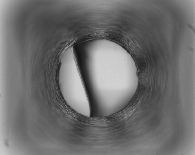 X0000097971201200803241012