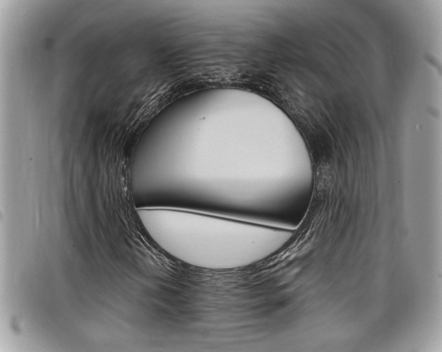 X0000097971202200803241012