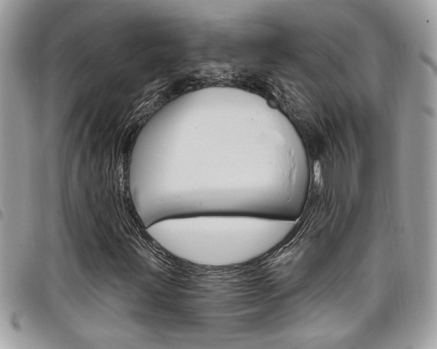 X0000097971203200803241012