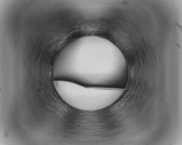 X0000097971204200803241012
