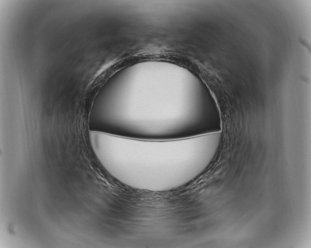 X0000097971206200803241012