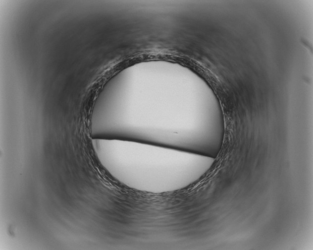 X0000097971207200803241012