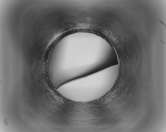 X0000097971208200803241012