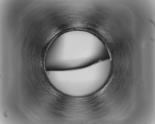 X0000097971209200803241012