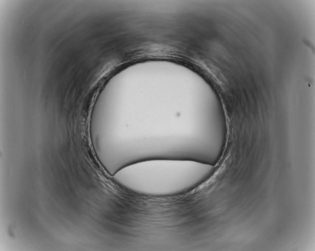 X0000097971211200803241012
