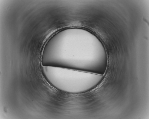 X0000097971212200803241012
