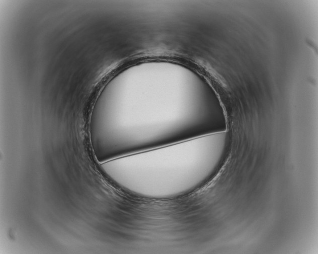 X0000097971213200803241012