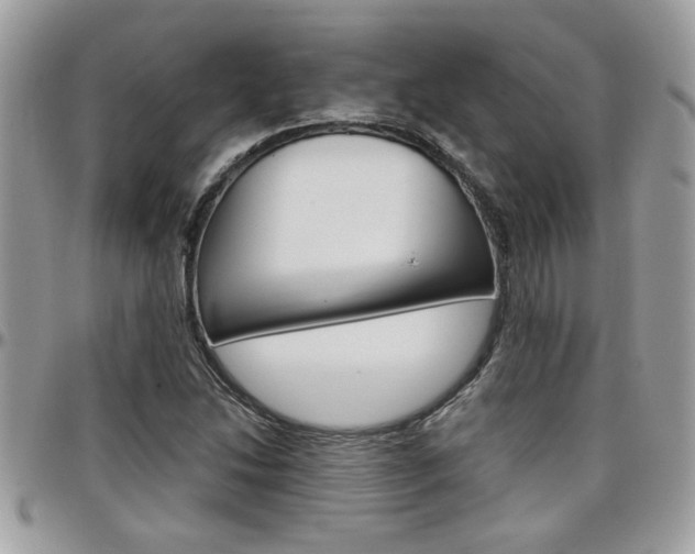 X0000097971214200803241012