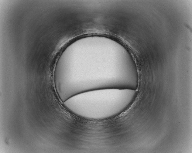 X0000097971215200803241012