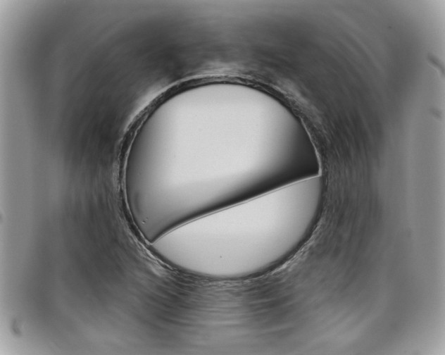 X0000097971216200803241012