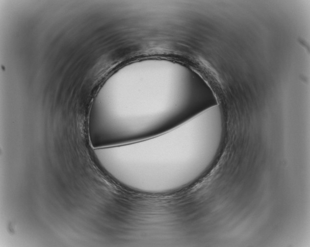 X0000097971217200803241012