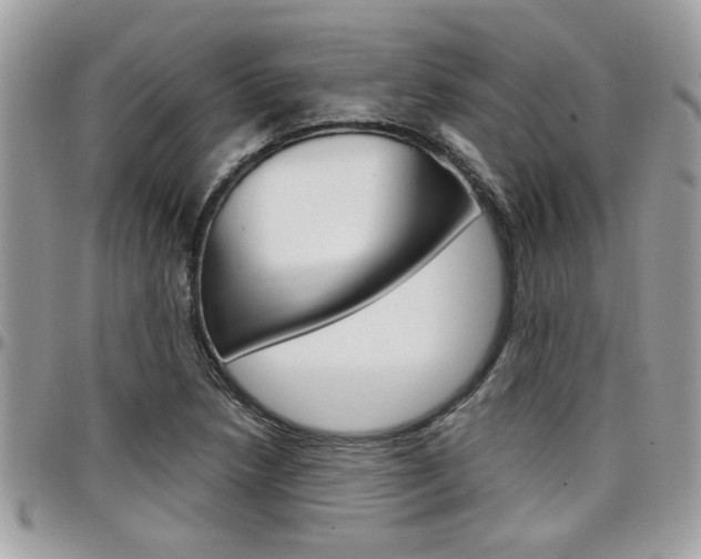X0000097971218200803241012