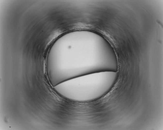 X0000097971219200803241012