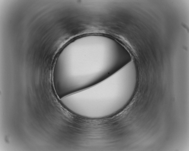 X0000097971220200803241012