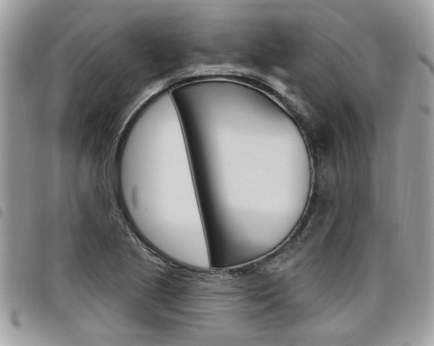 X0000097971221200803241012