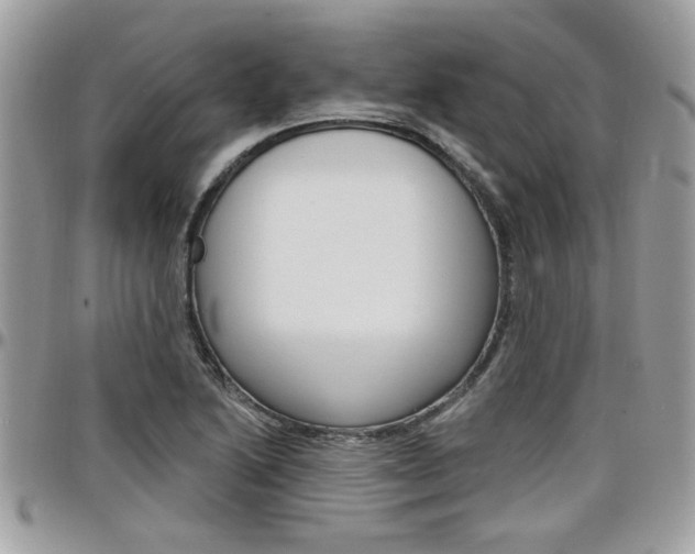 X0000097971222200803241012