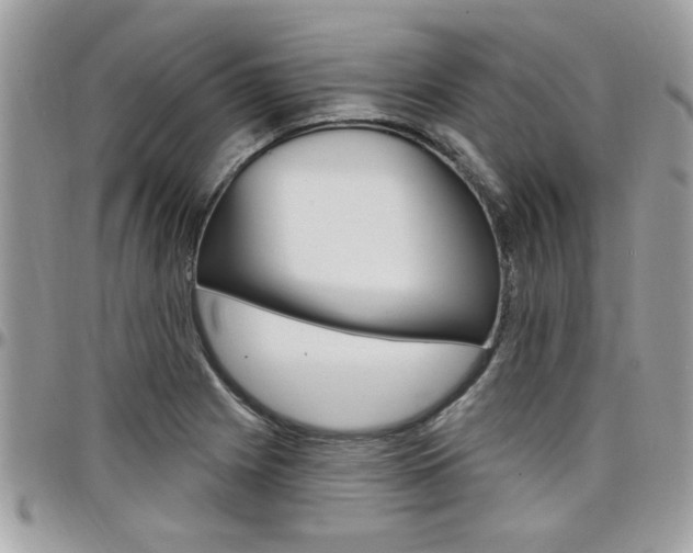X0000097971225200803241012