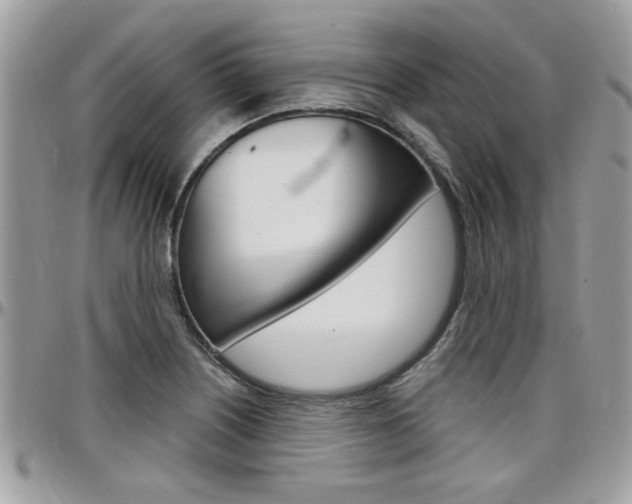 X0000097971226200803241012