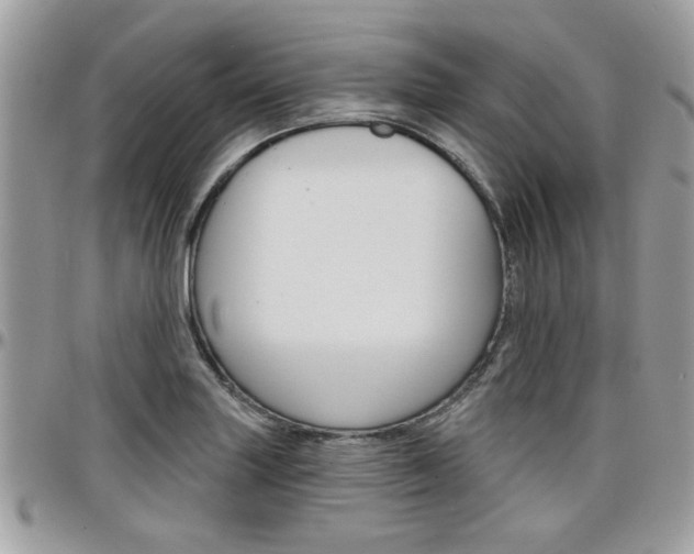 X0000097971227200803241012
