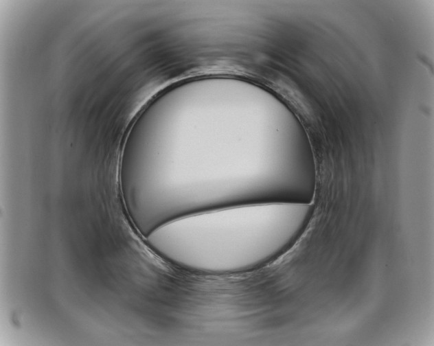 X0000097971228200803241012