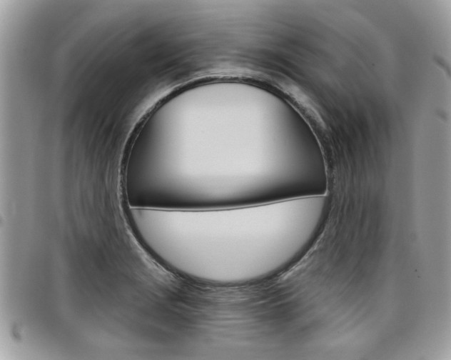 X0000097971229200803241012