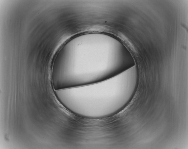 X0000097971232200803241012