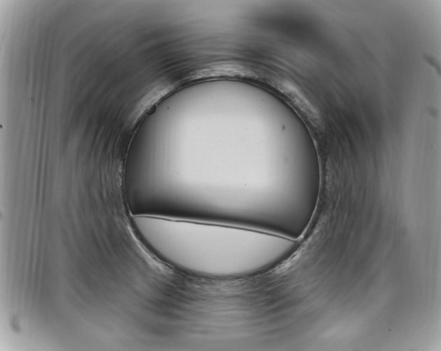 X0000097971233200803241012