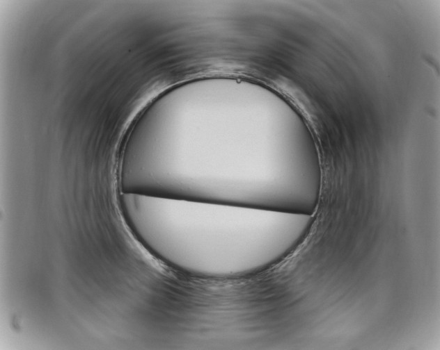 X0000097971235200803241012