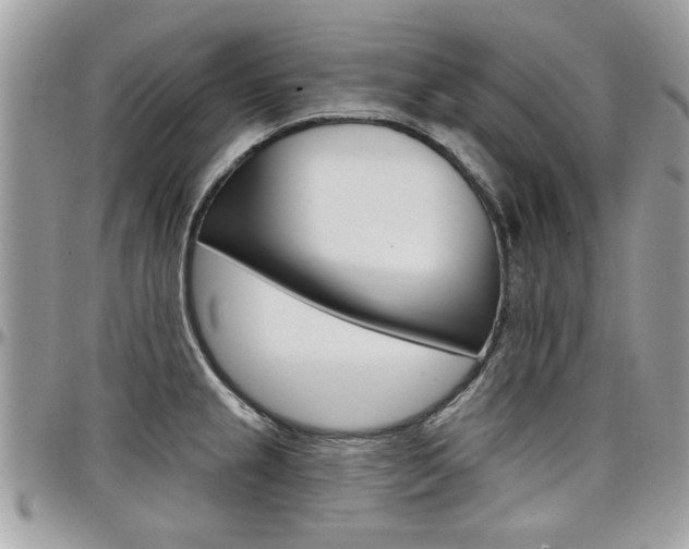 X0000097971237200803241012