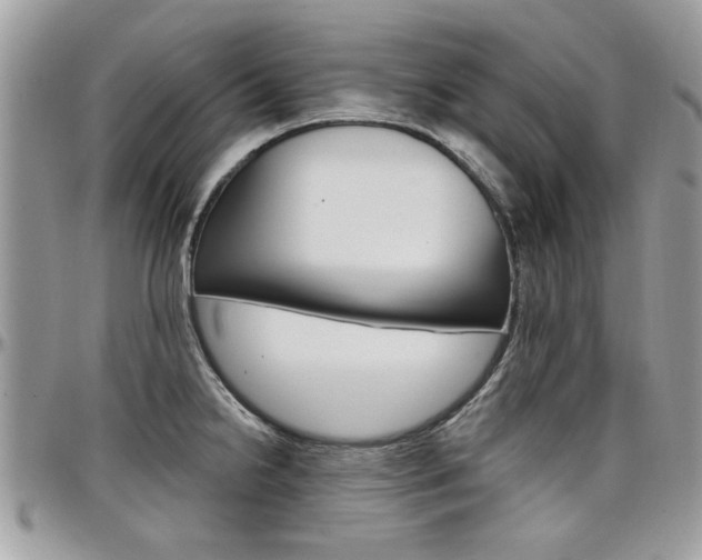 X0000097971238200803241012
