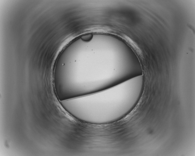 X0000097971240200803241012